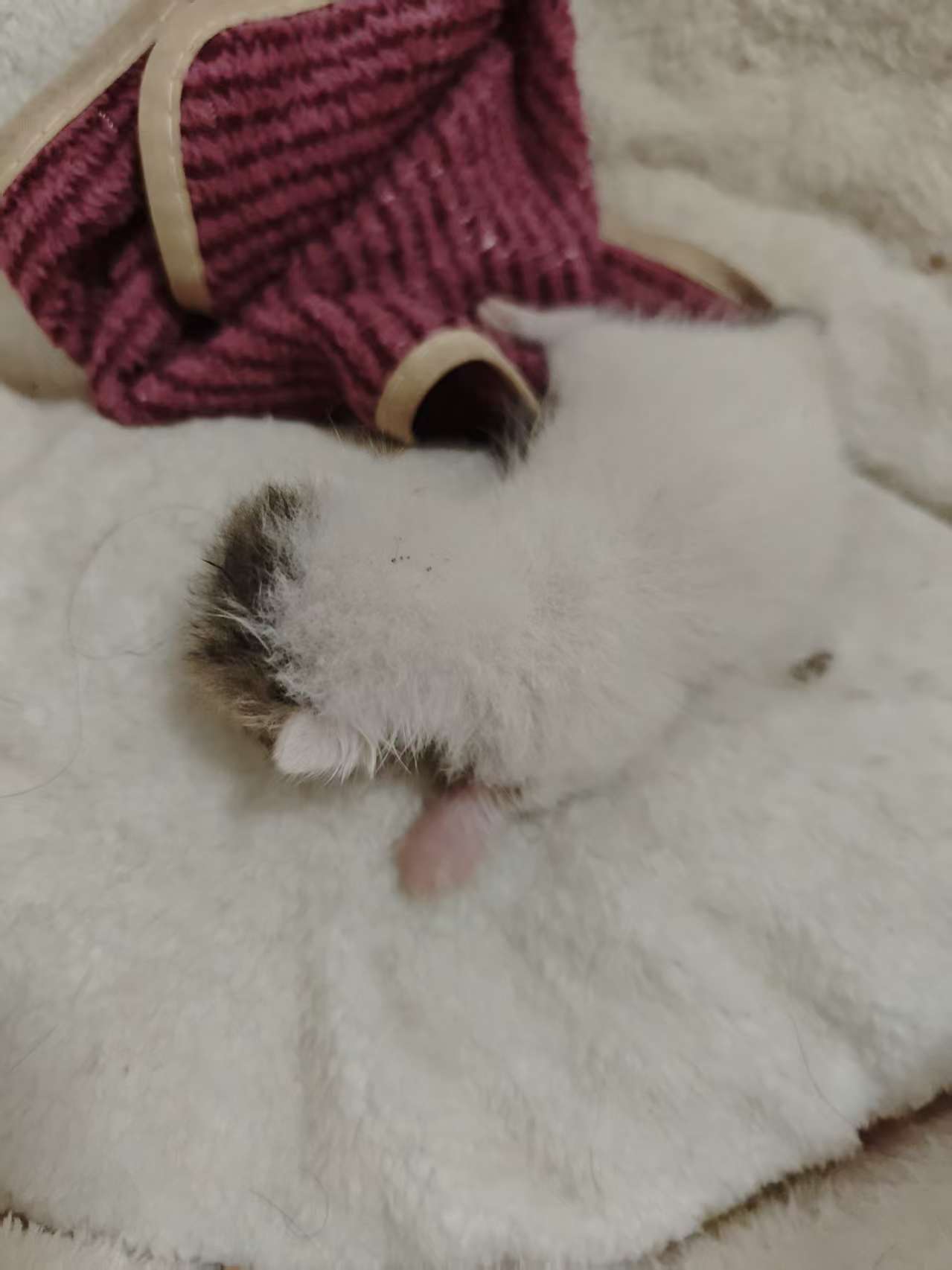 #