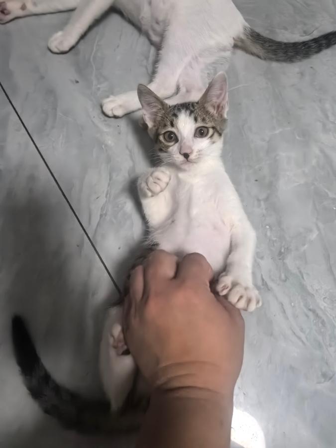 #
