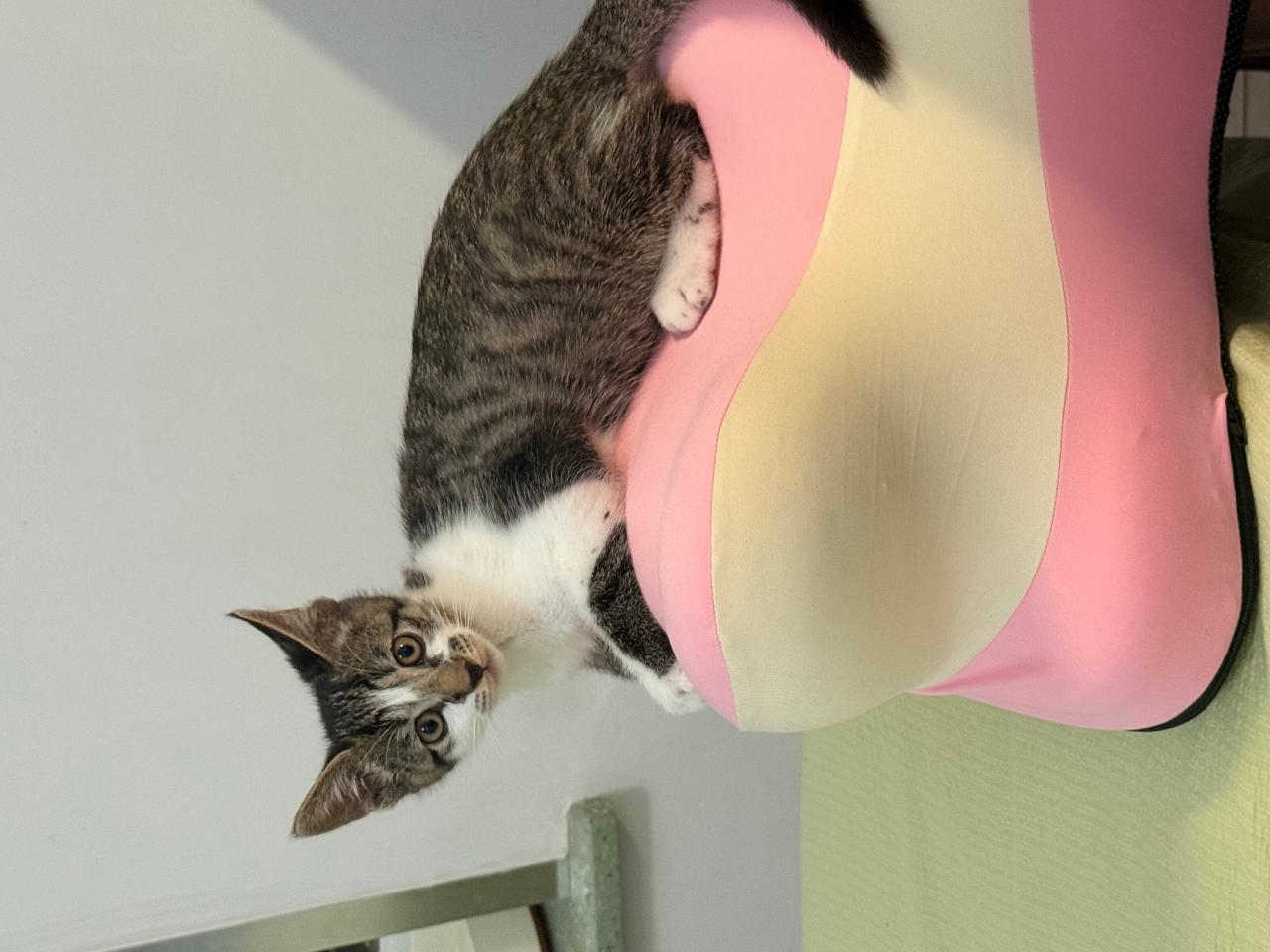 #