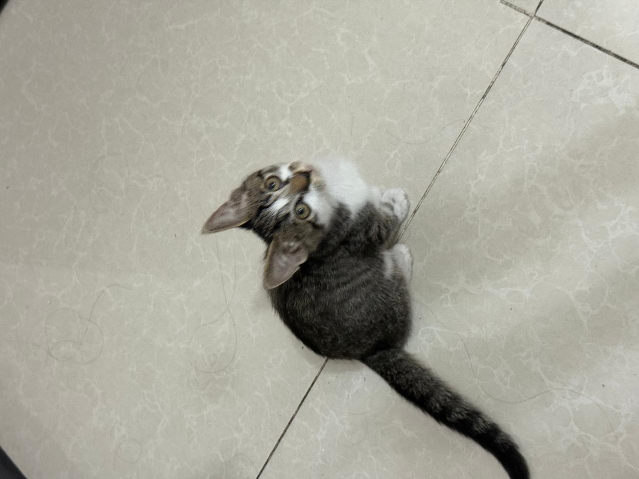 #