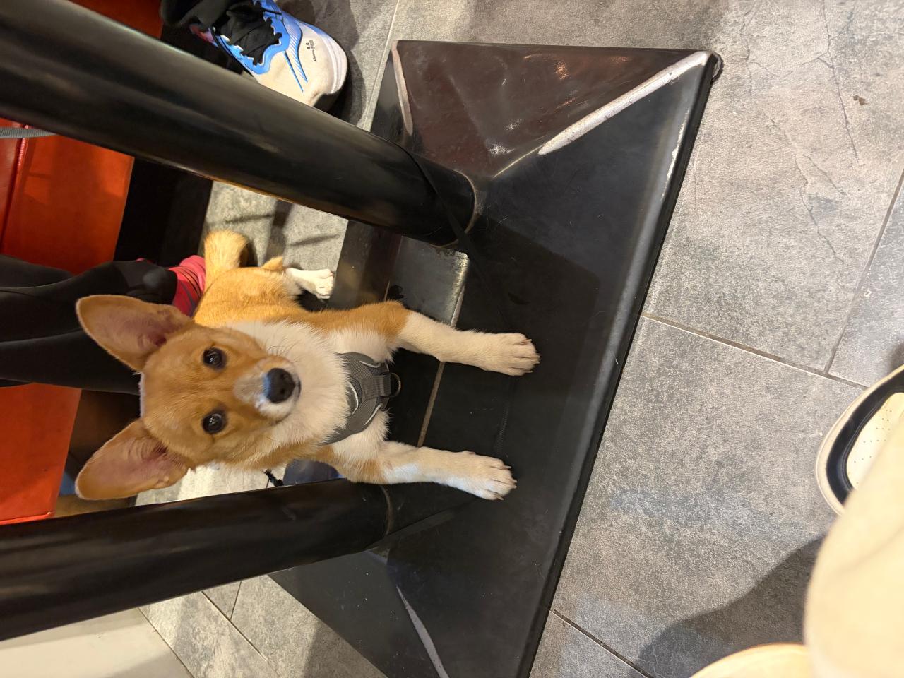 #