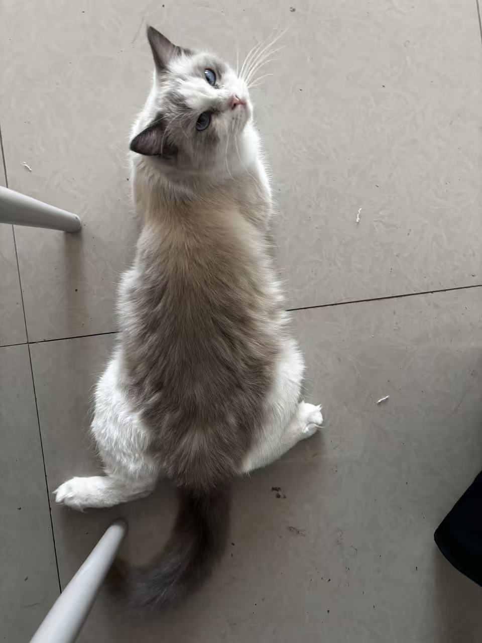 #