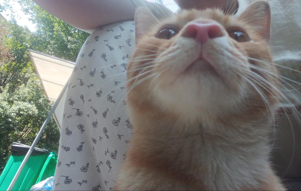 #