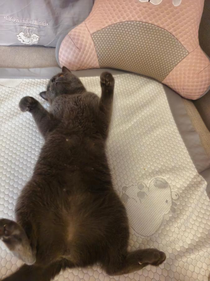 #