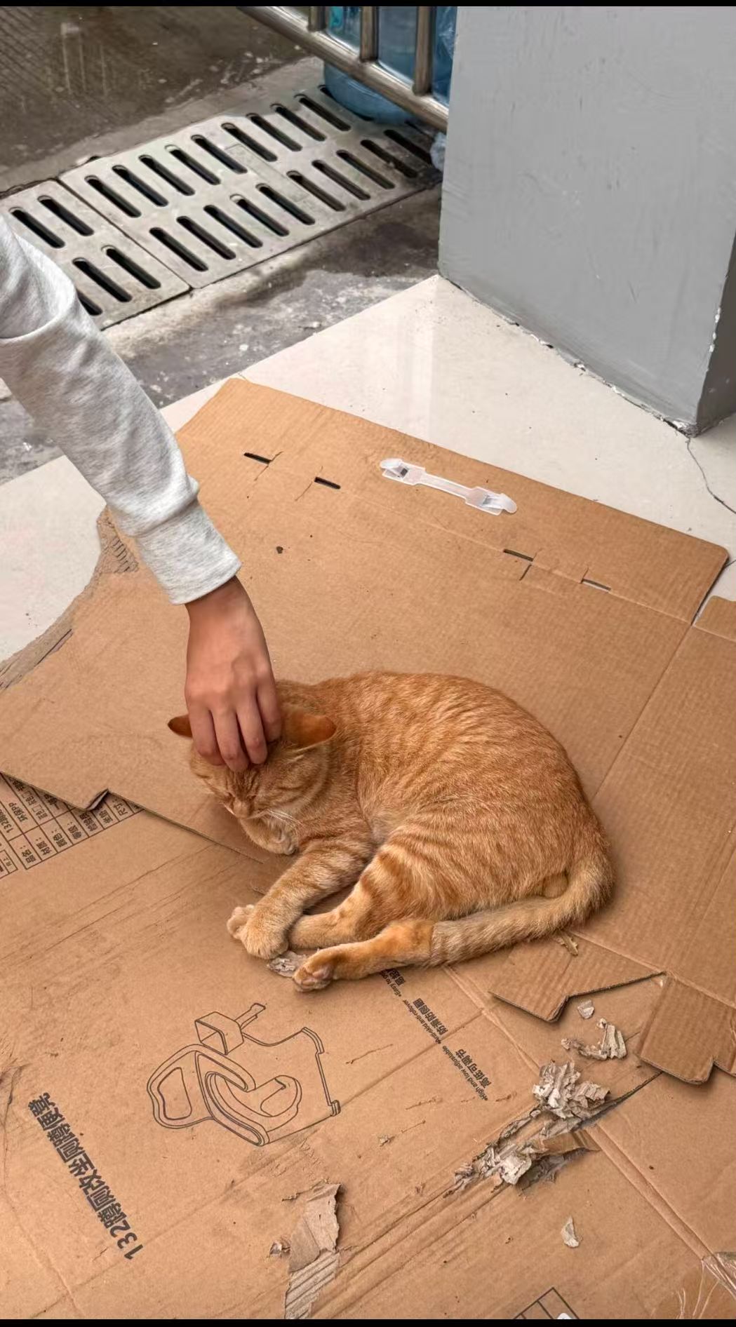 #