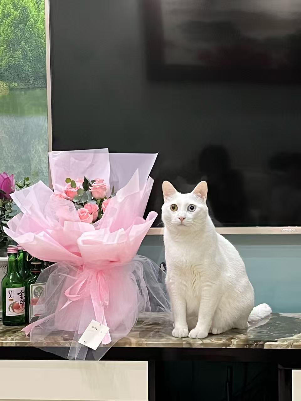 #