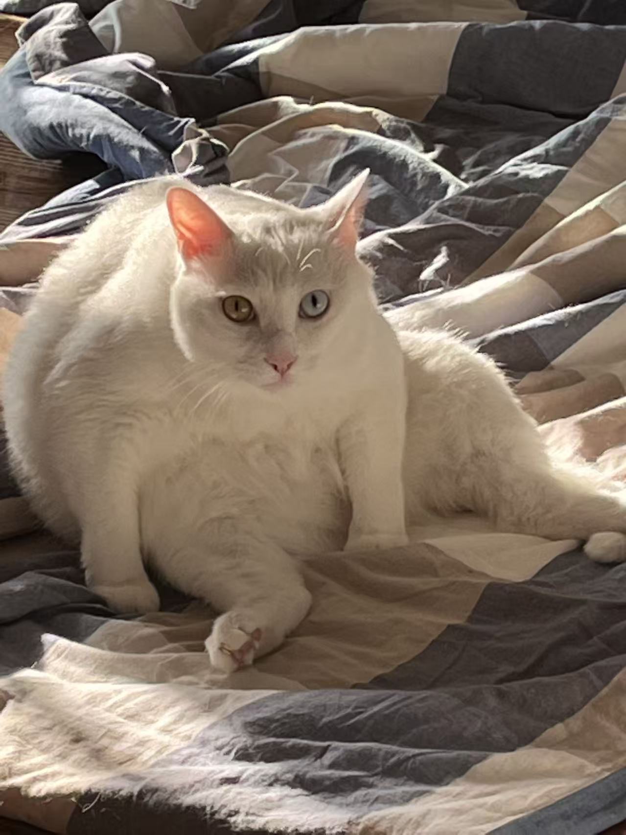 #