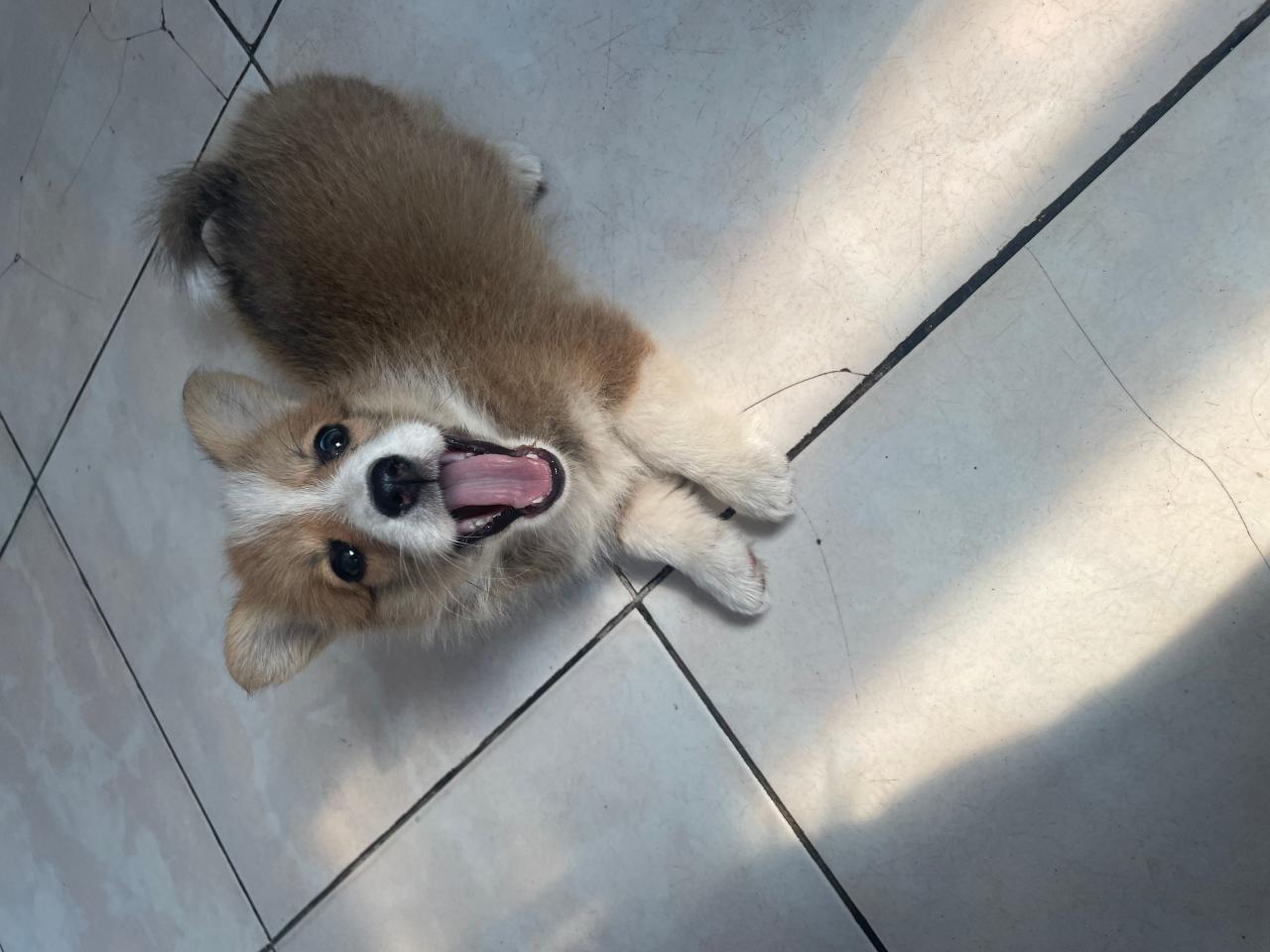 #
