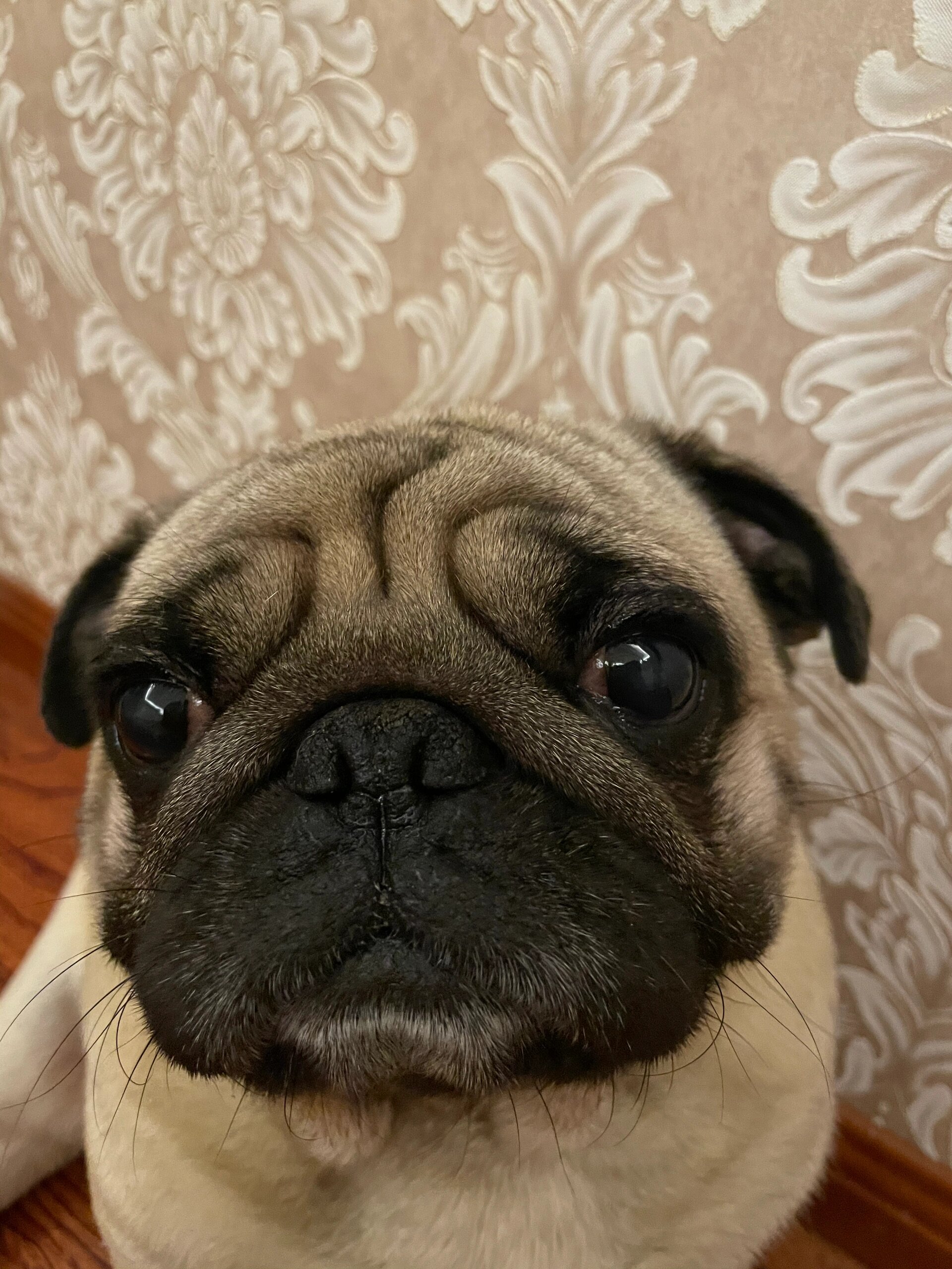 #
