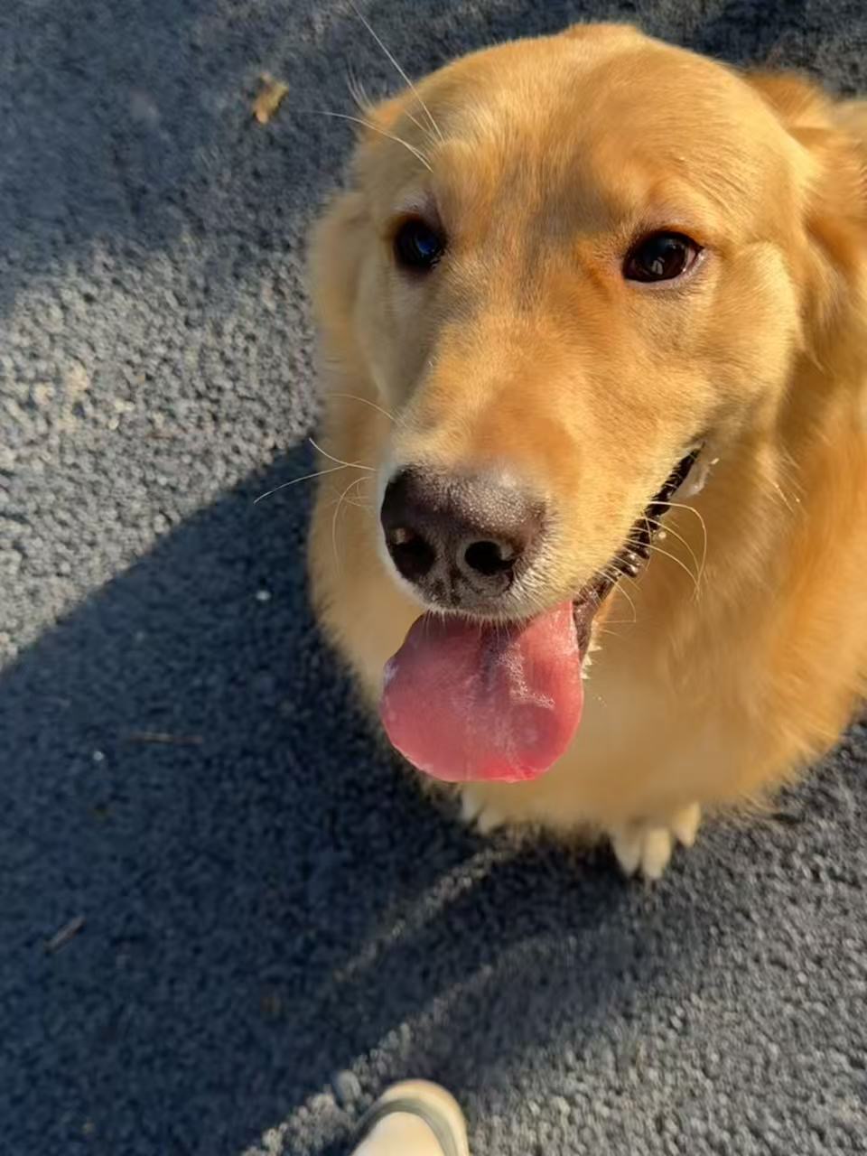 #