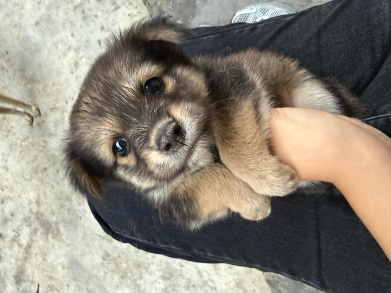 #