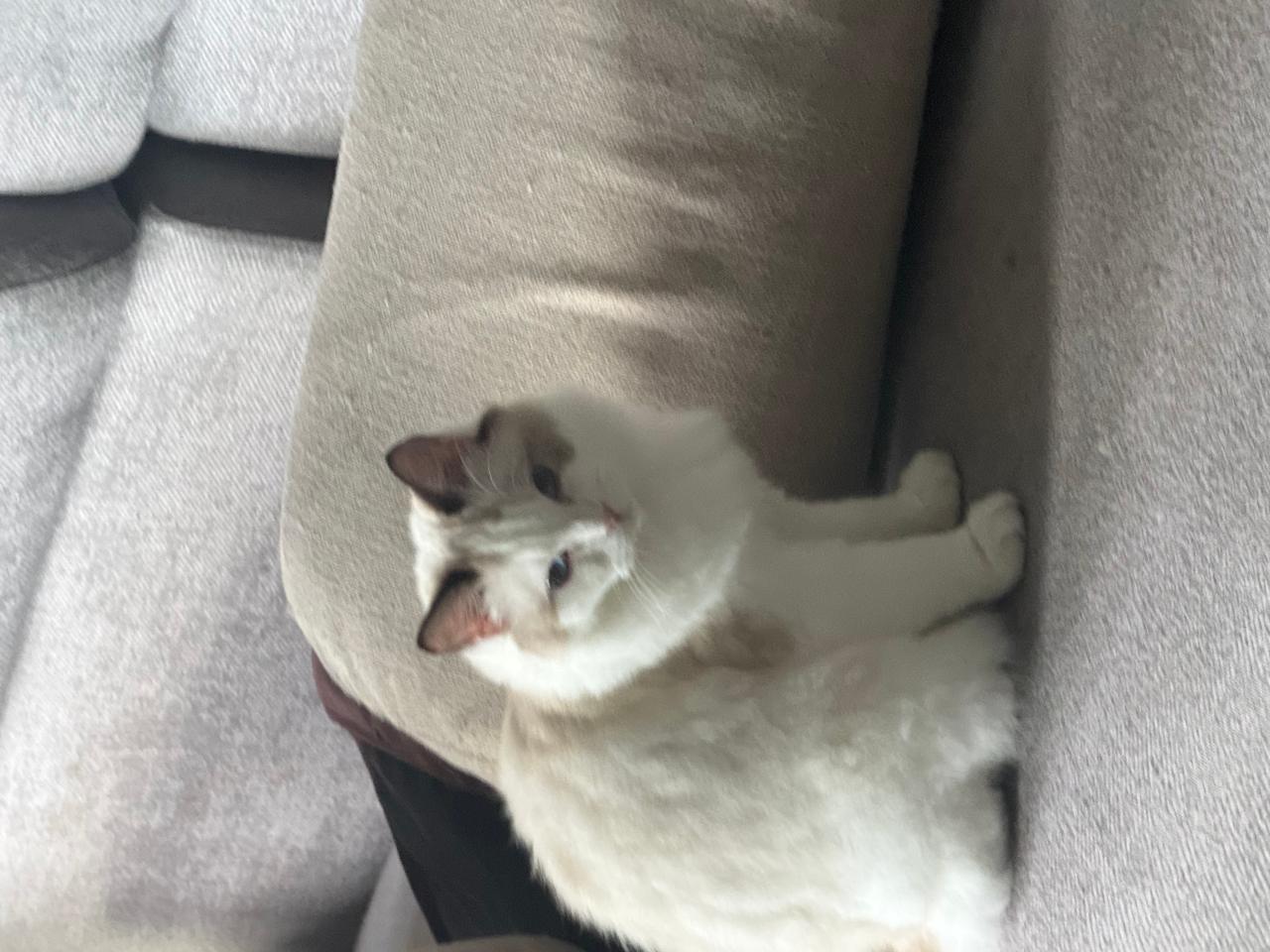 #
