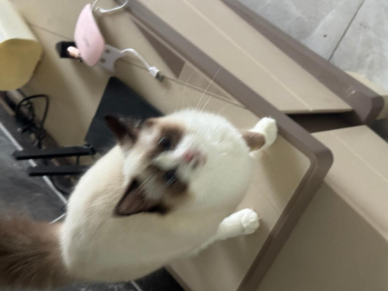 #