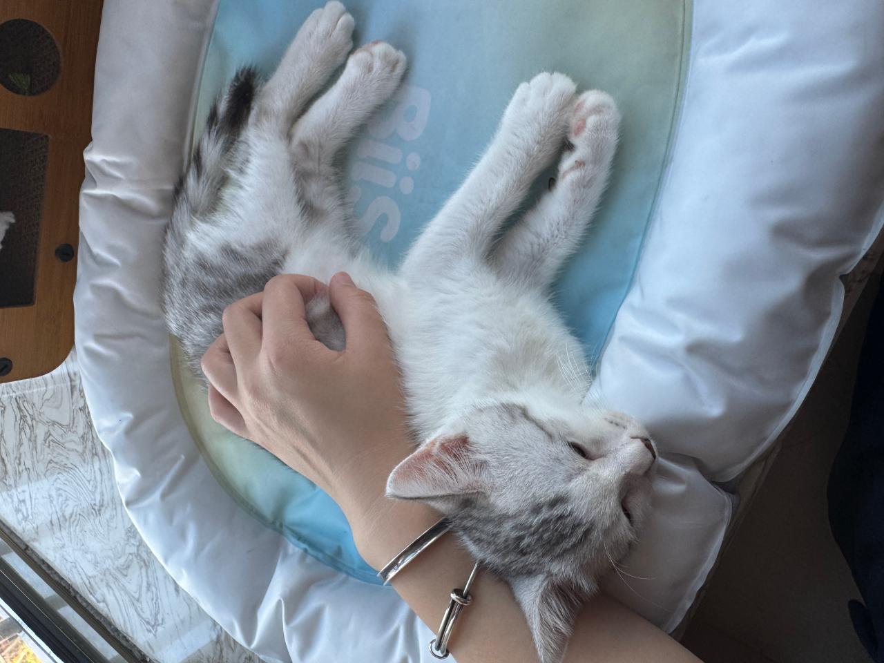 #