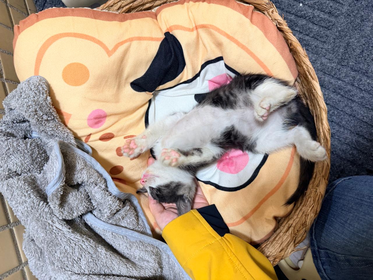 #