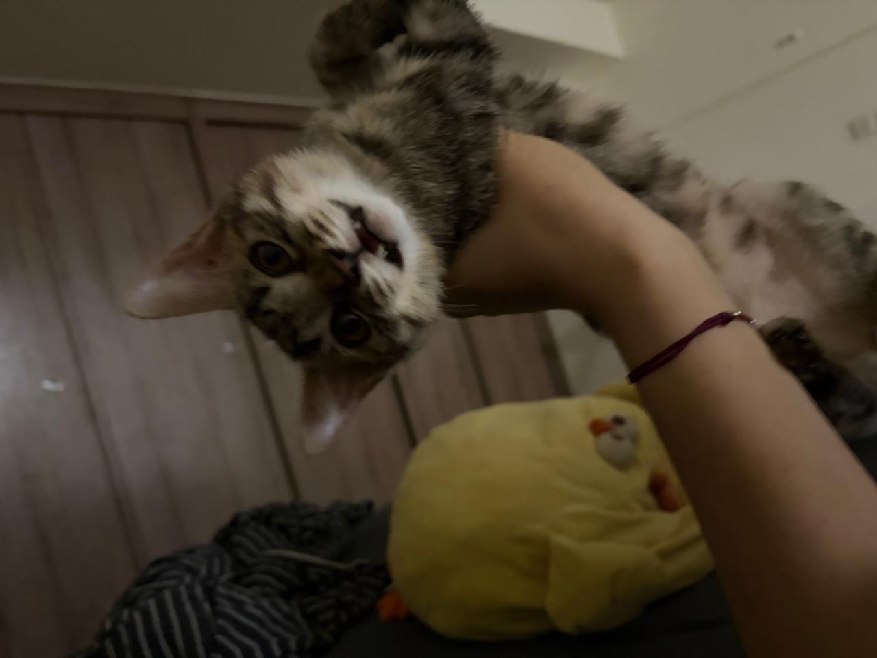 #