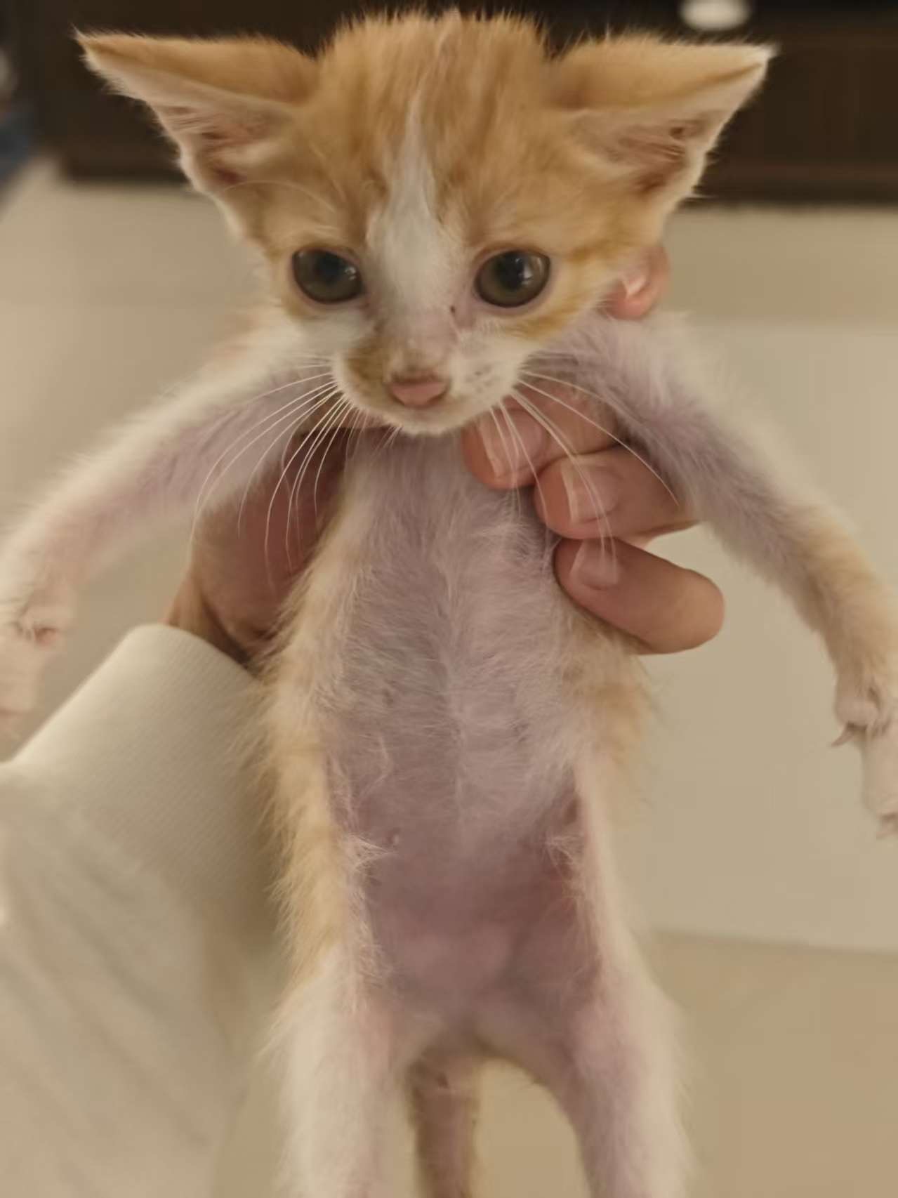 #