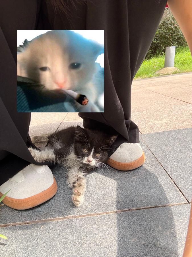 #