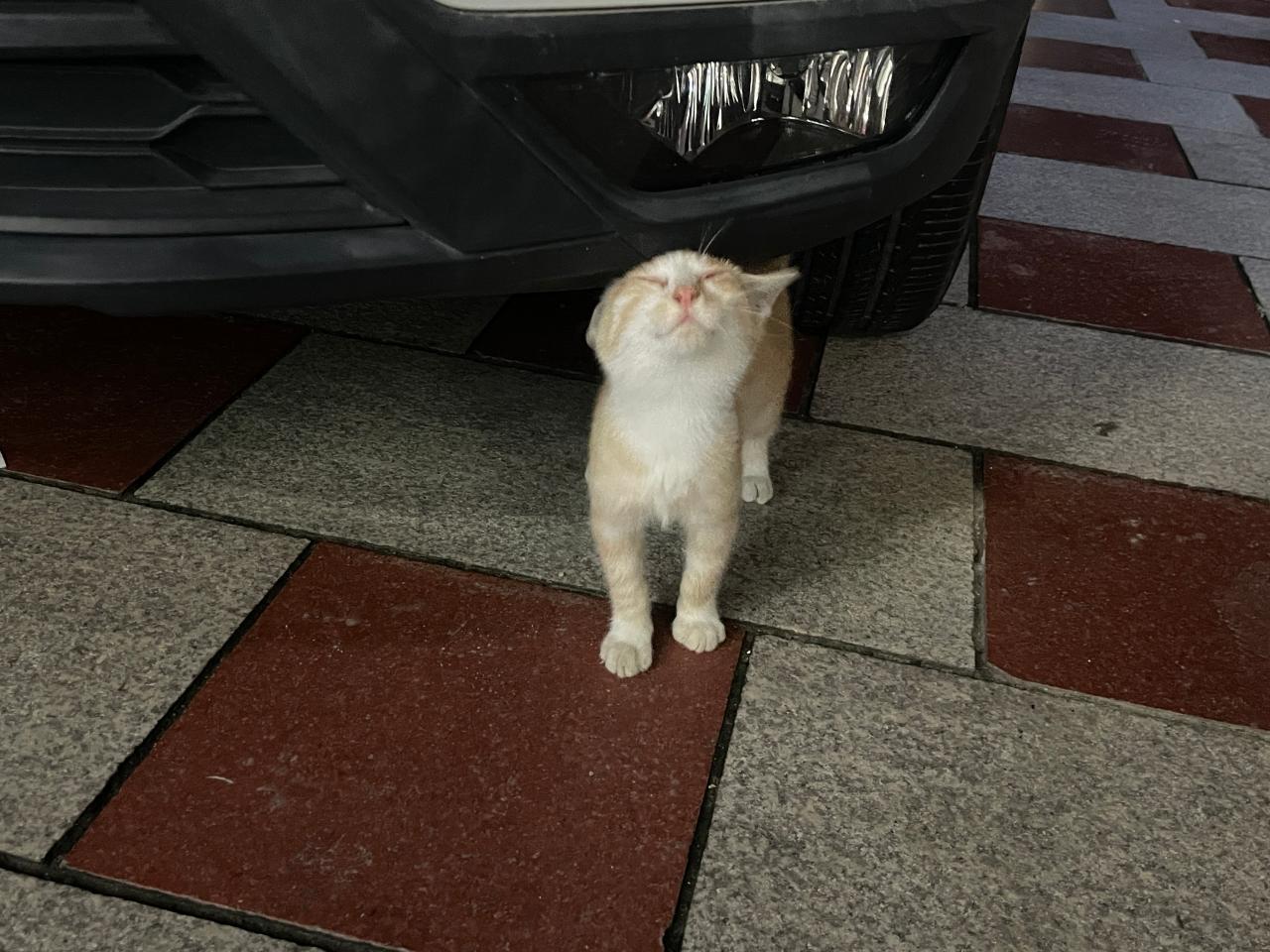 #