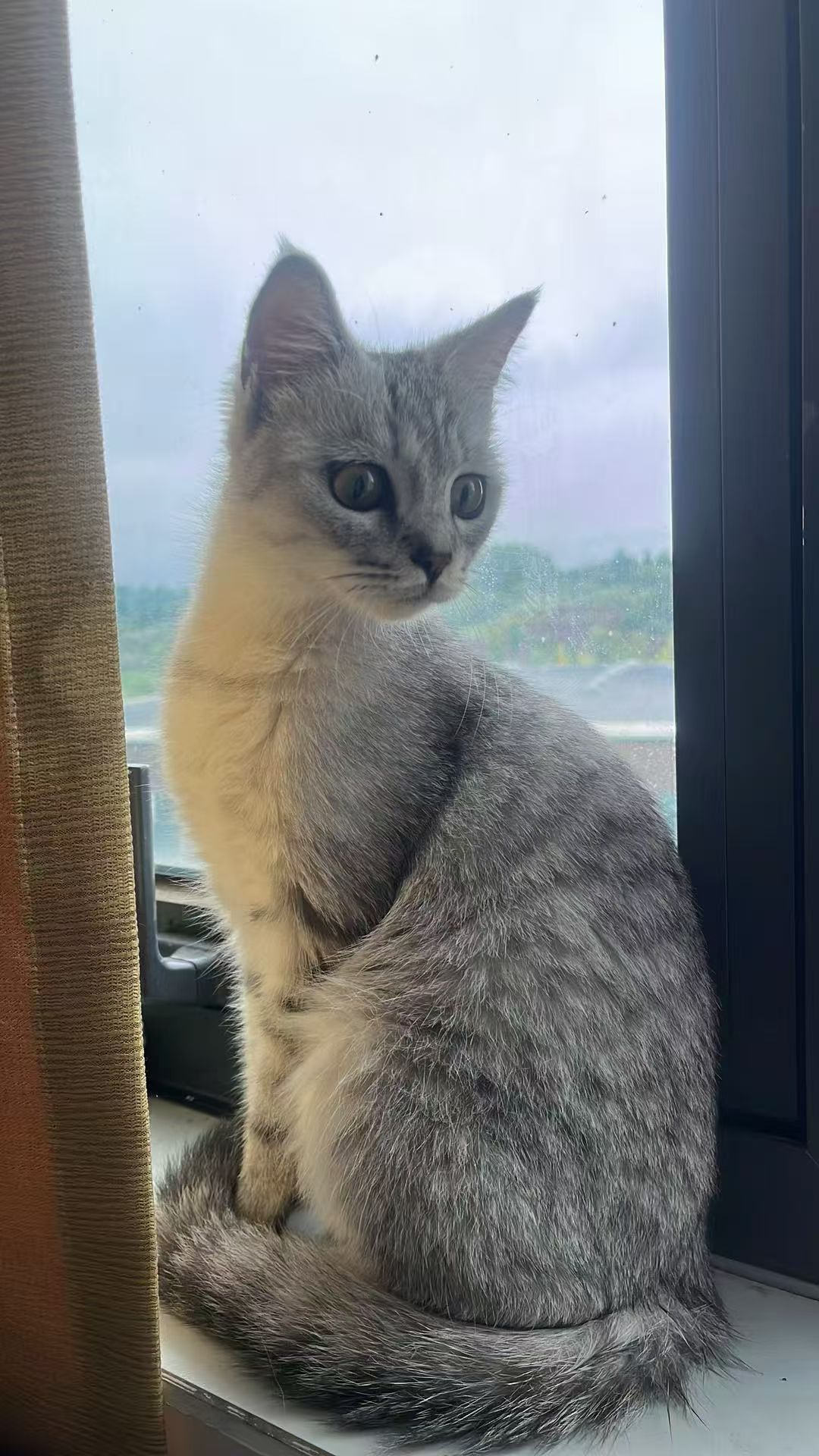 #