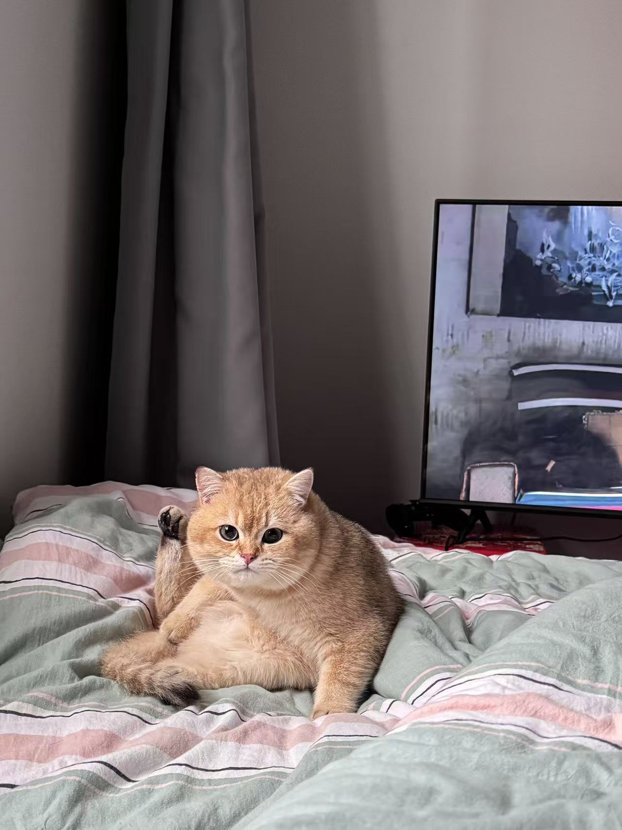 #