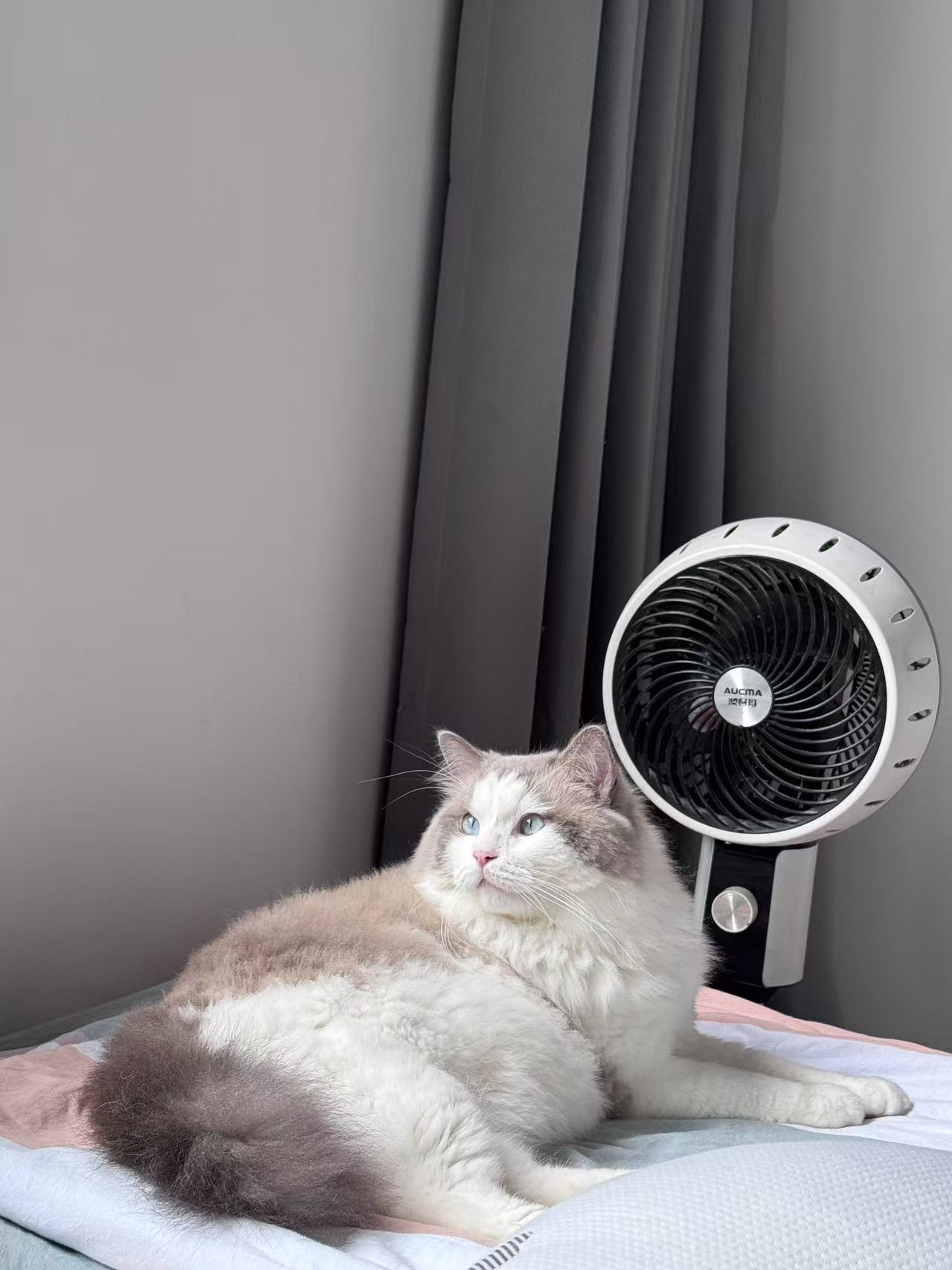 #