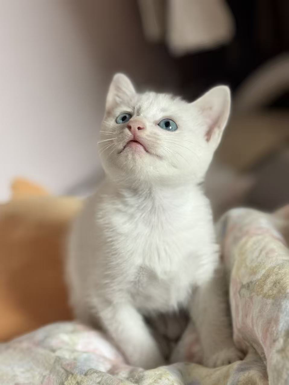 #