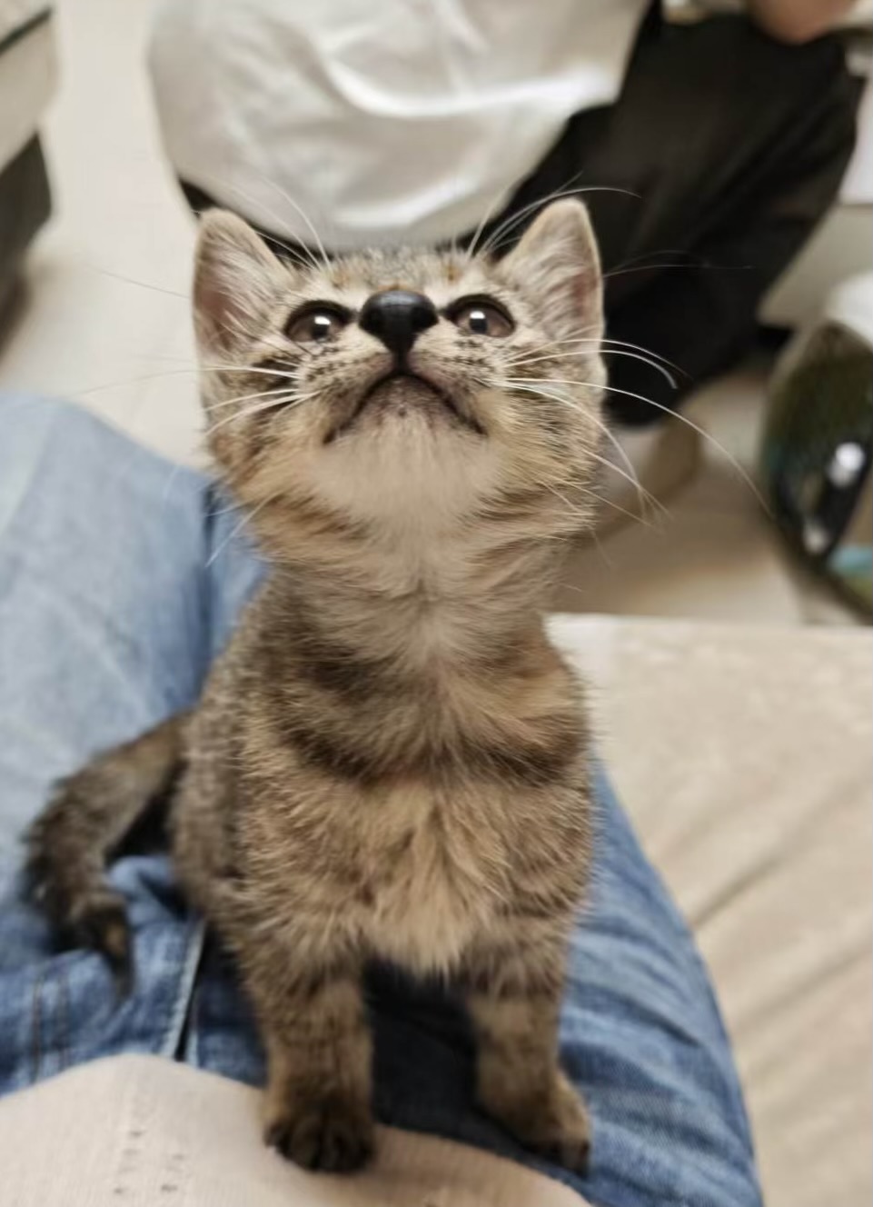 #