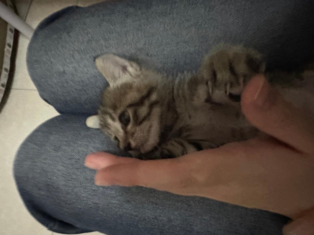 #