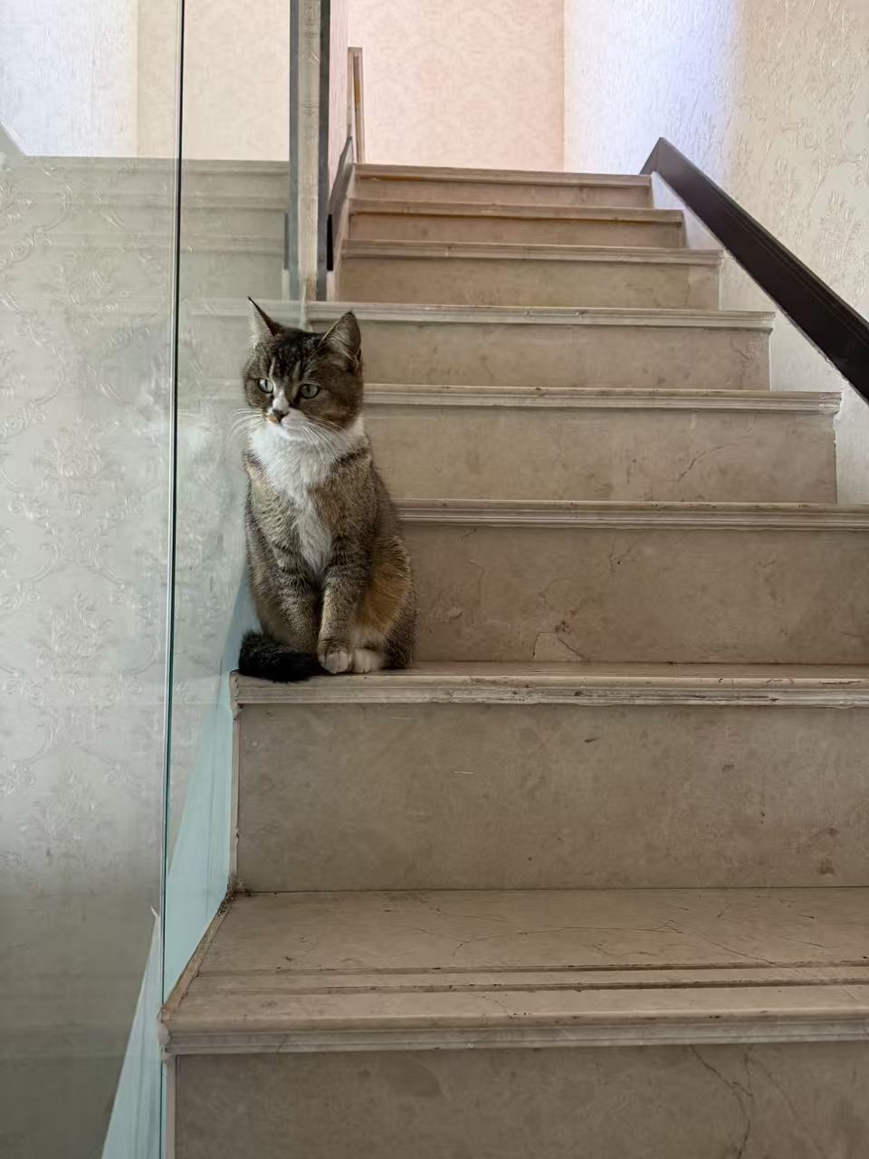 #