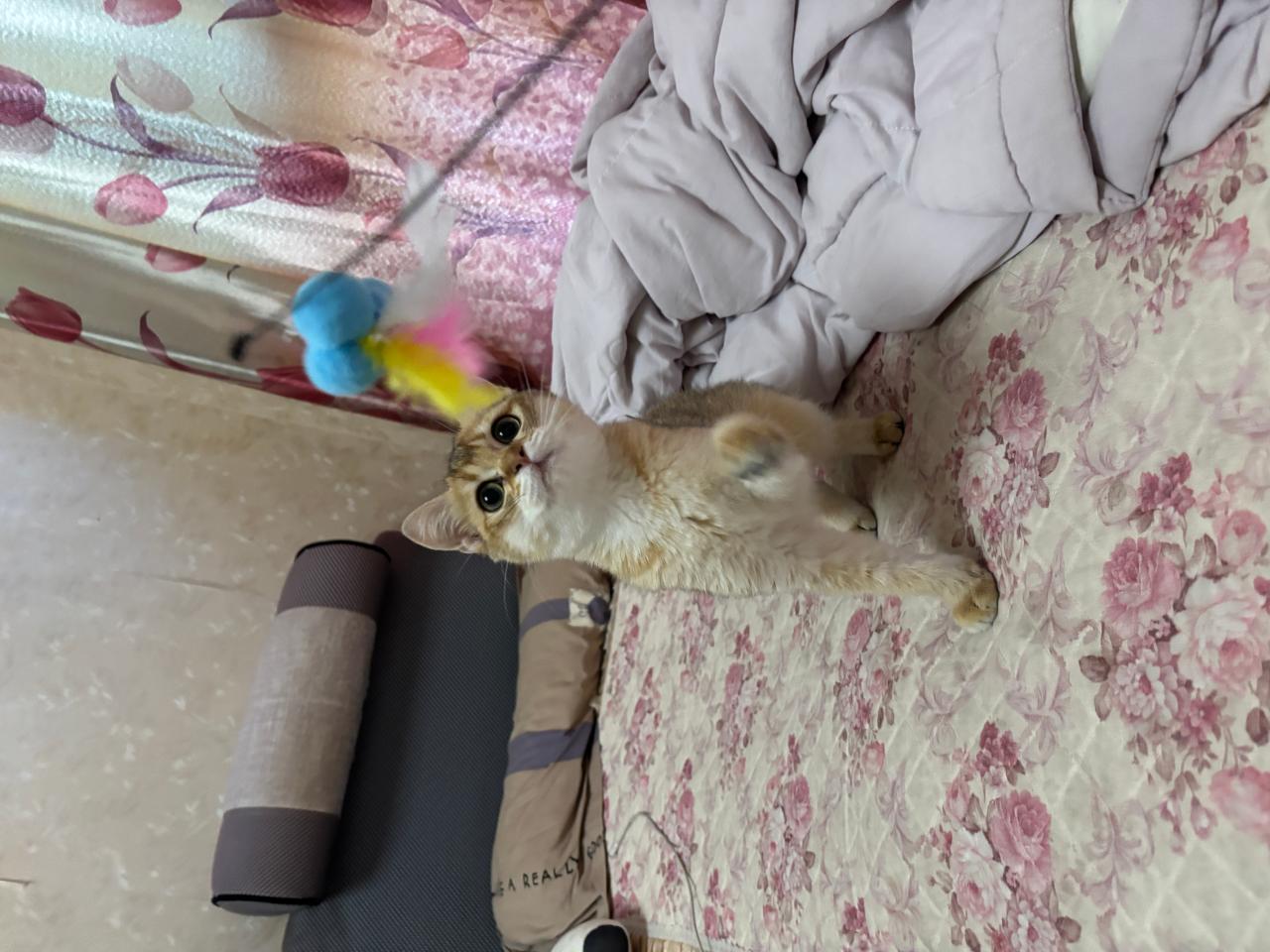 #