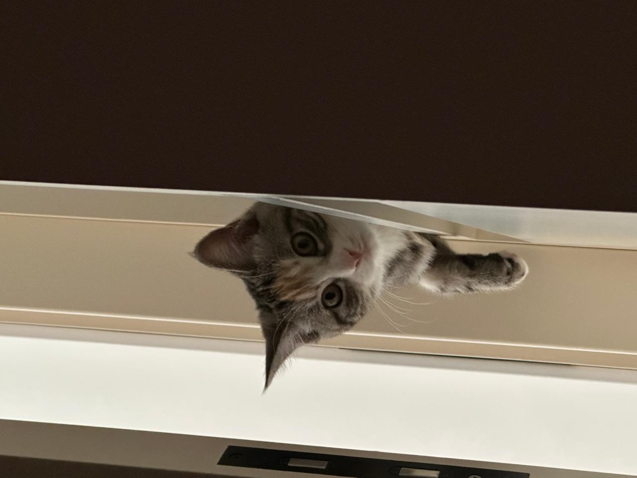 #