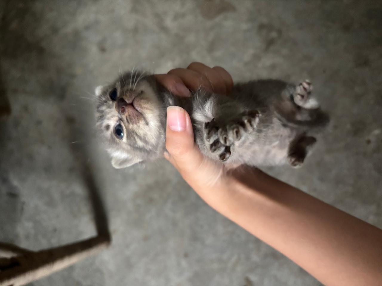 #