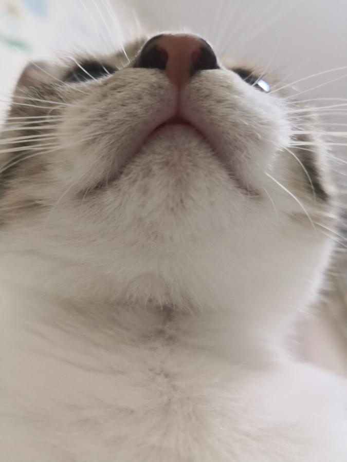 #