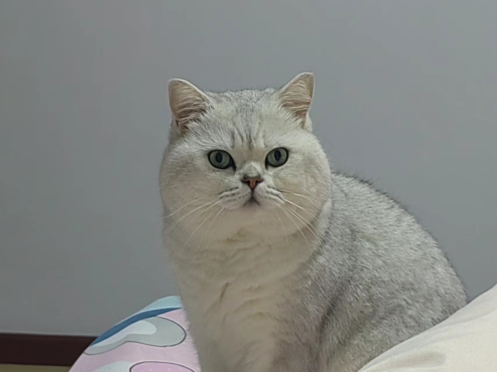 #