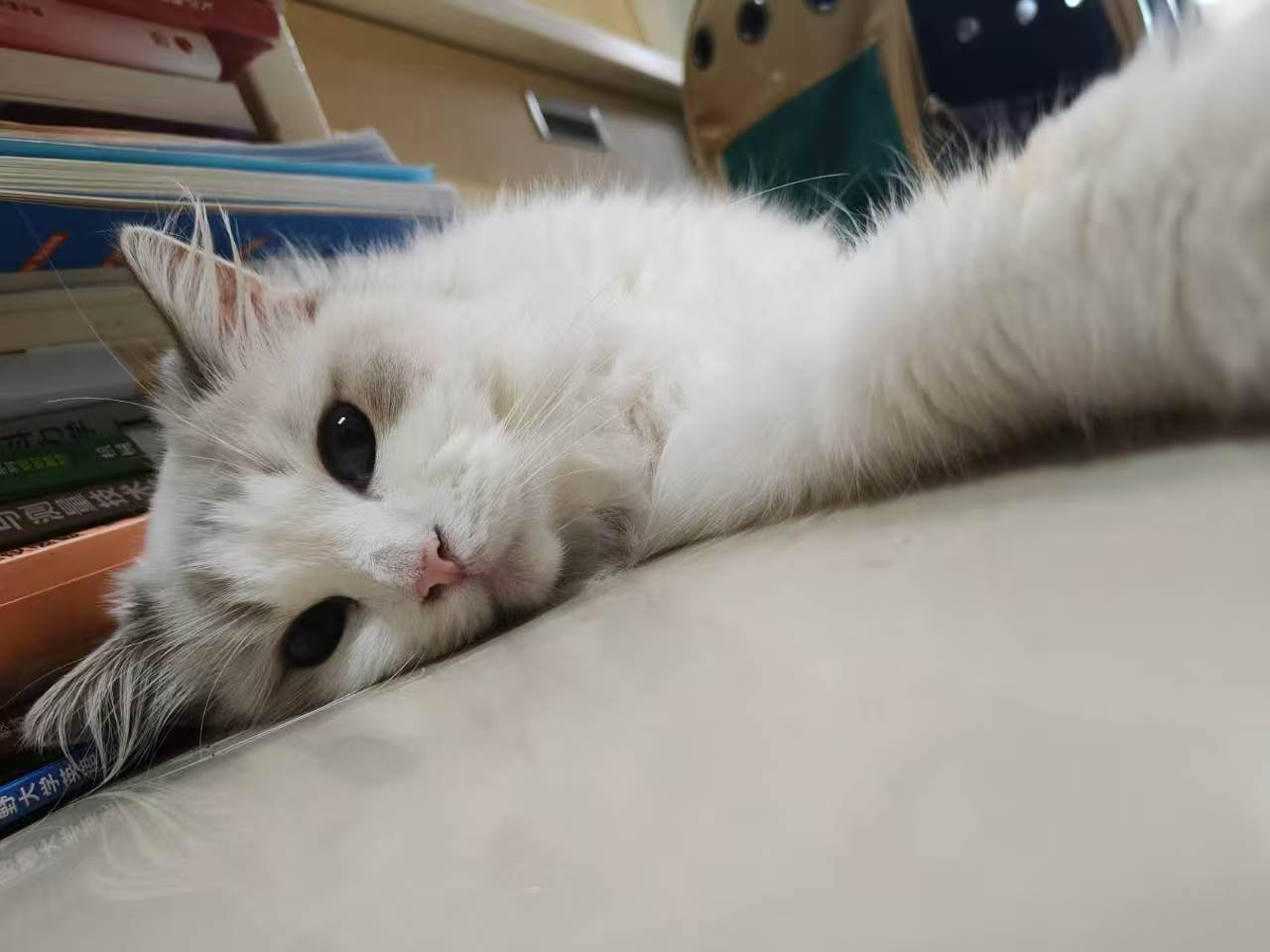 #