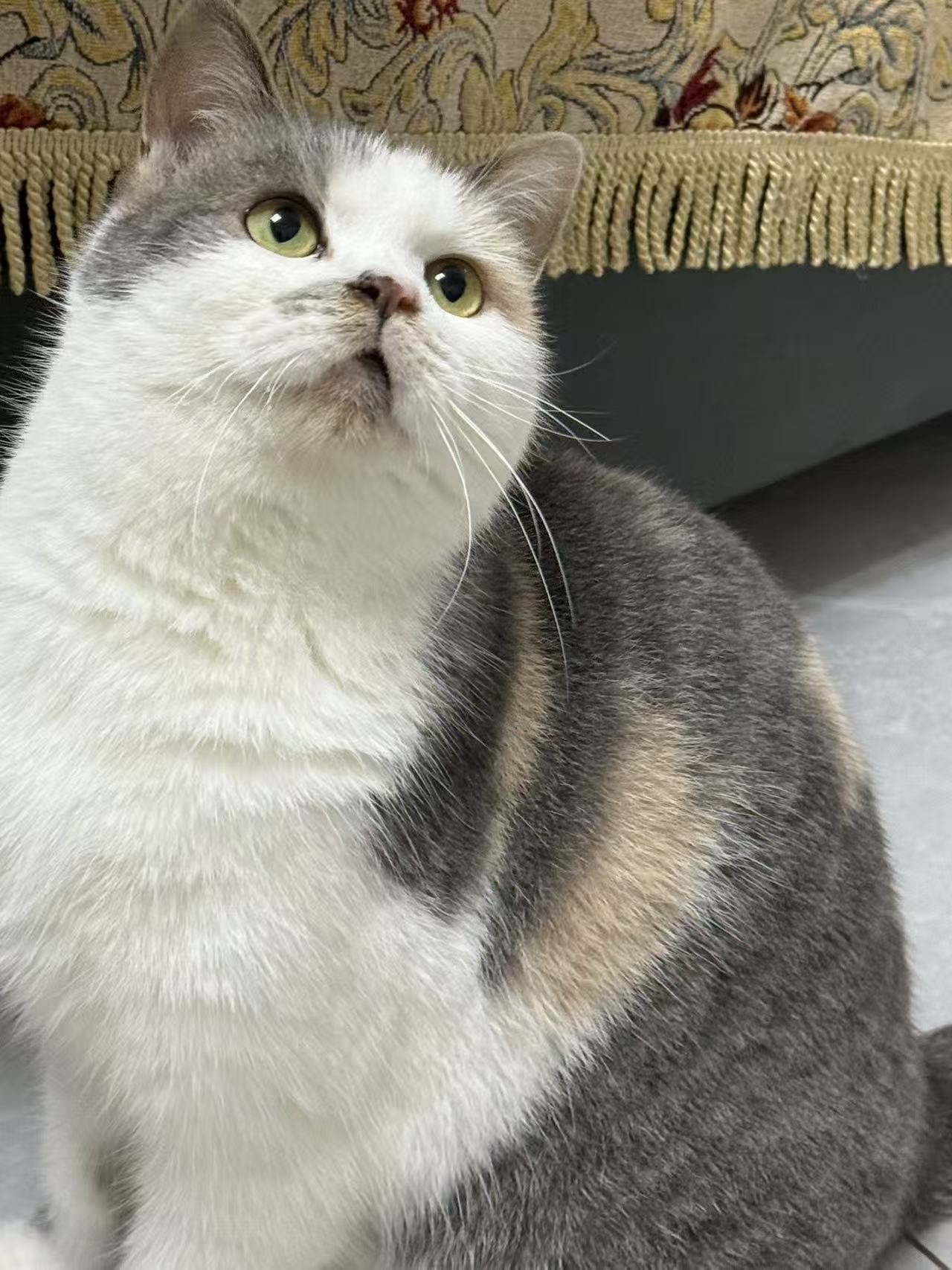 #
