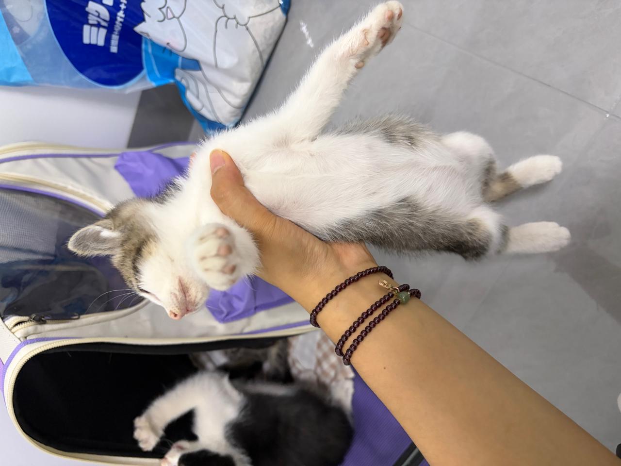 #