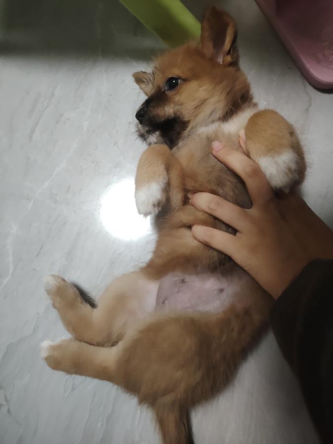 #