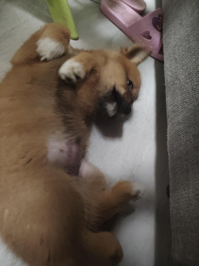 #