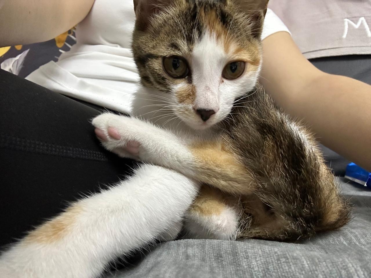 #