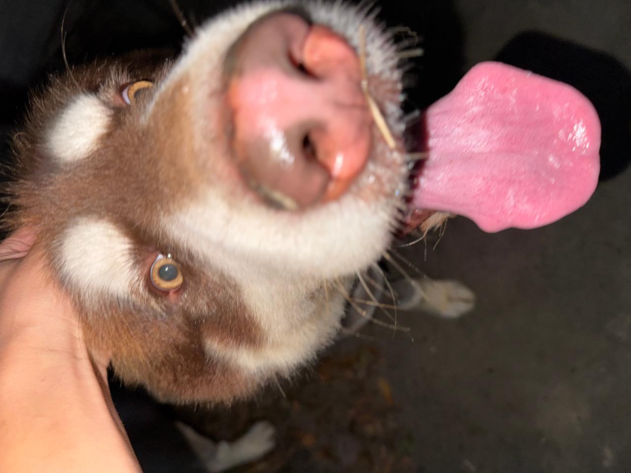 #