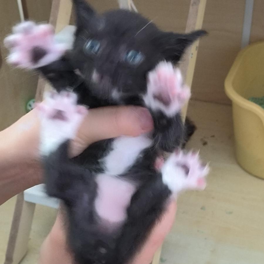#