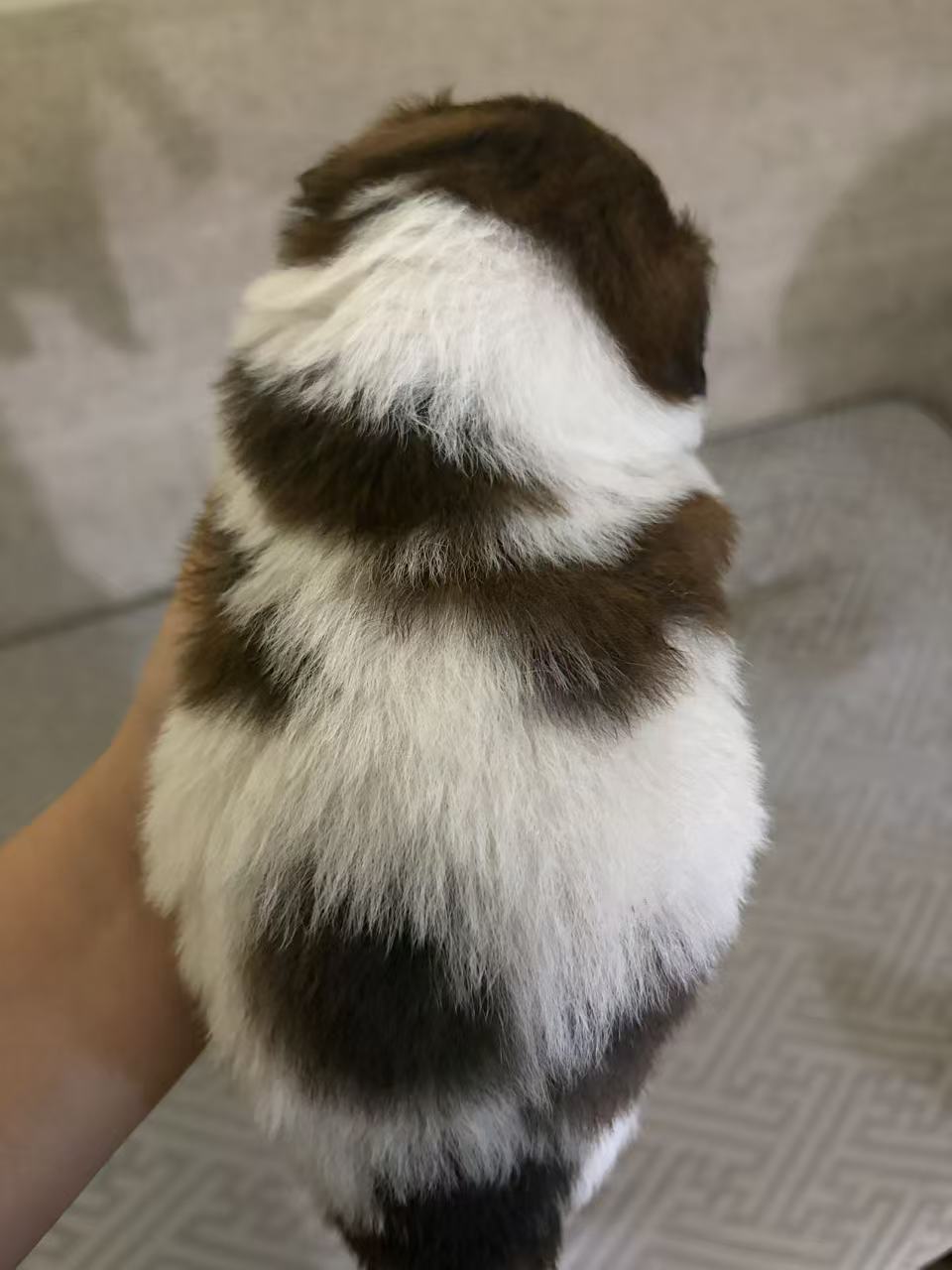 #