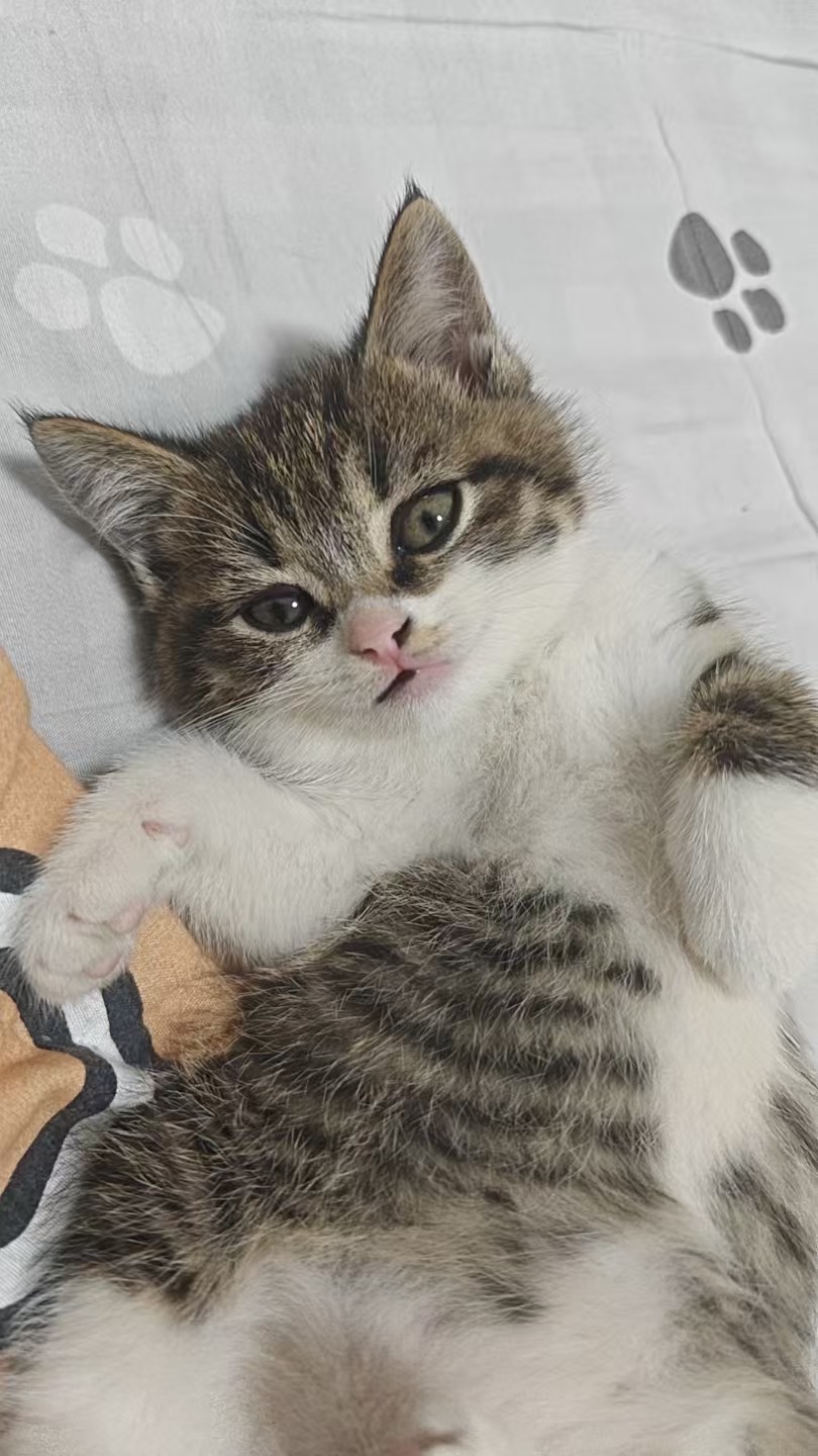#