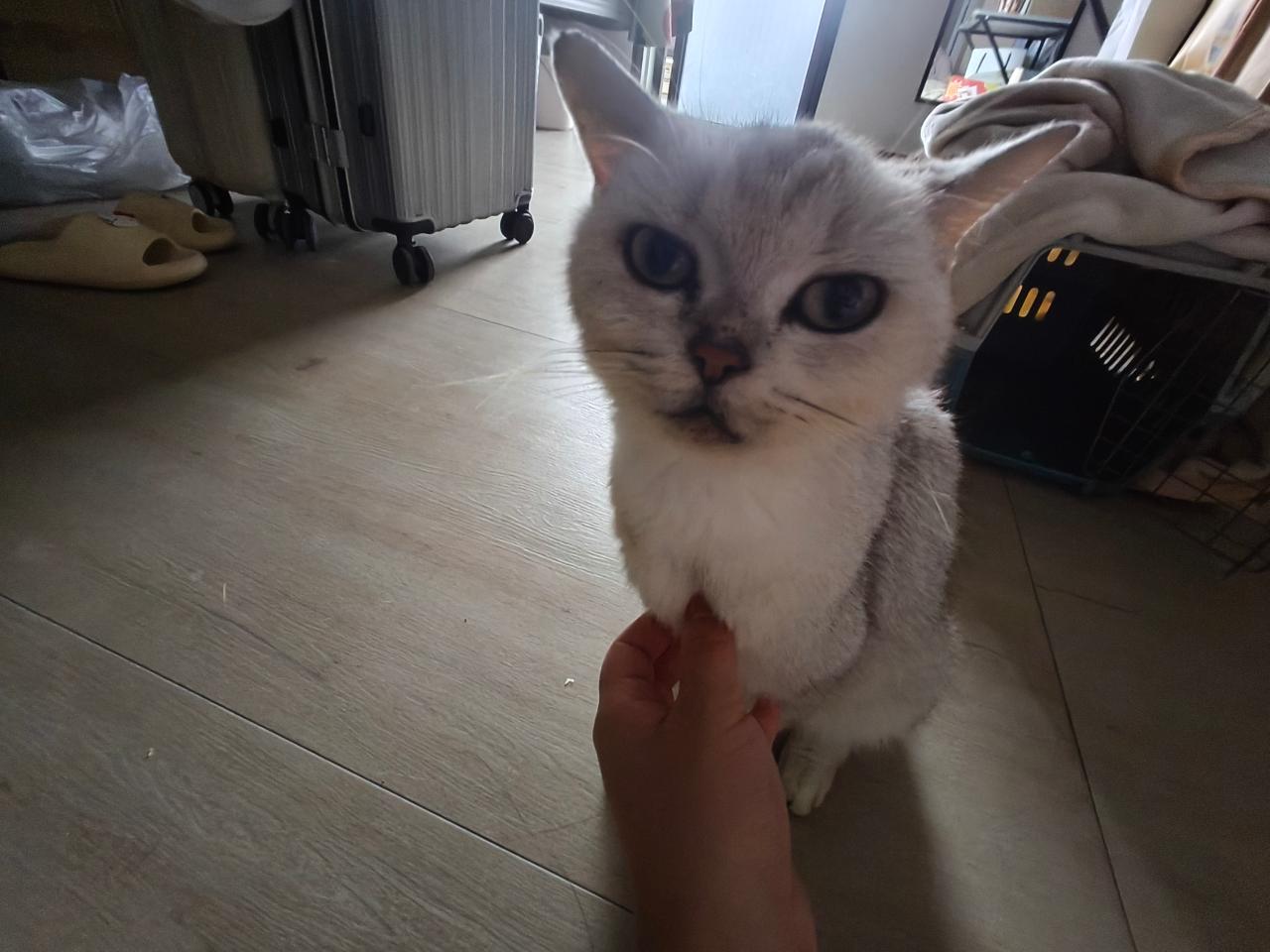 #