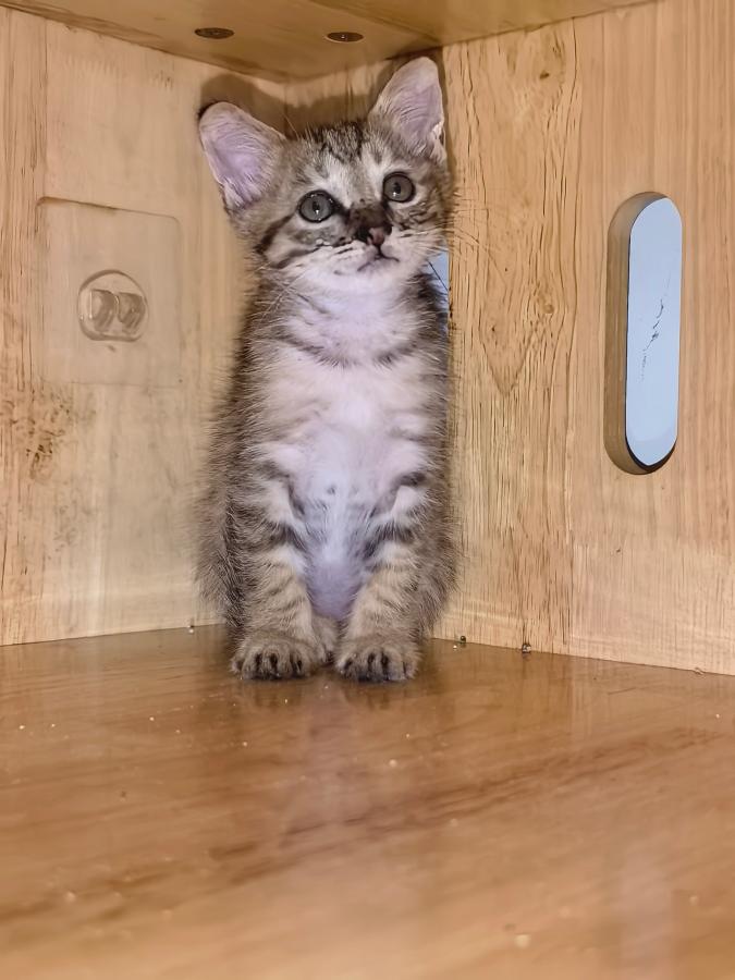 #