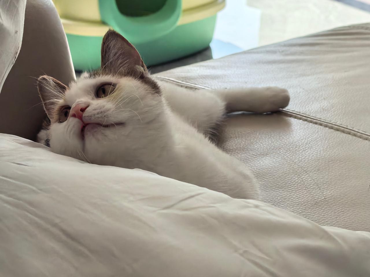 #