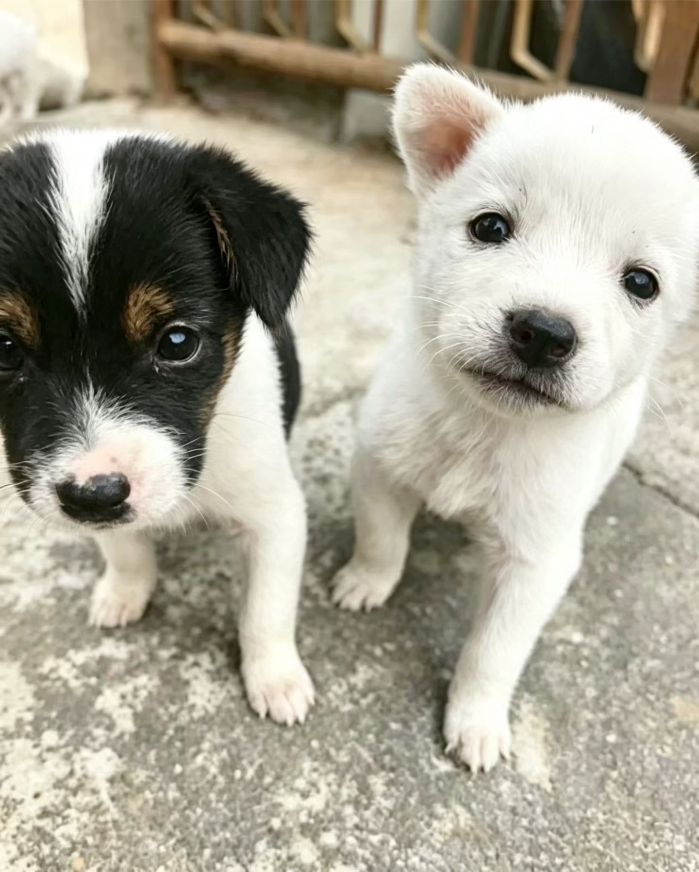 #