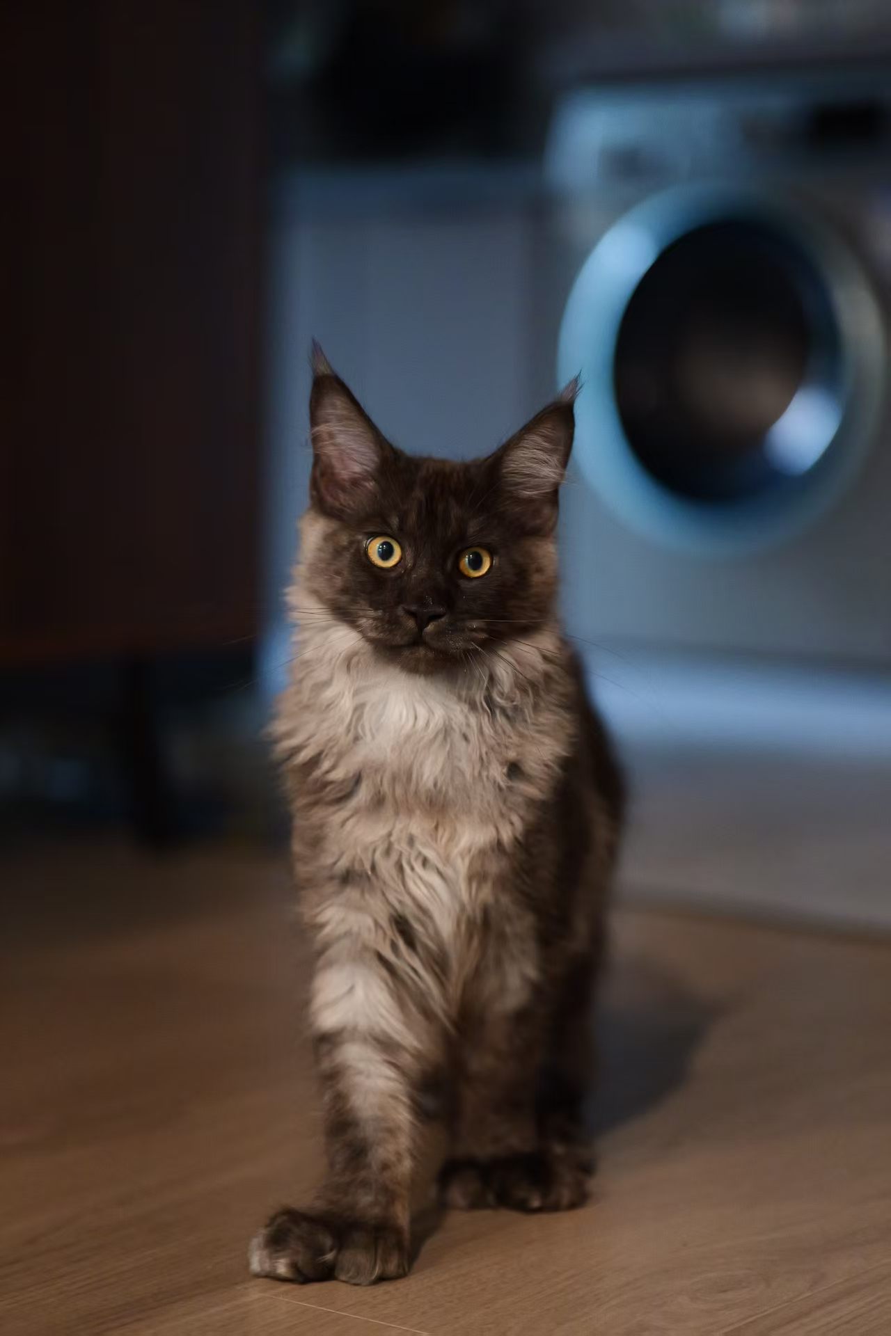 #